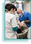 Dental treatment