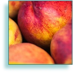 Nectarine